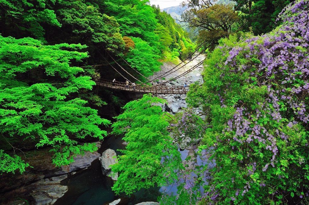 日本四國快閃遊 德島西部3日2夜之旅 食玩住樣樣齊 一文睇晒美食 景點 酒店 Meethk Com 旅遊情報網 最新平機票及酒店優惠